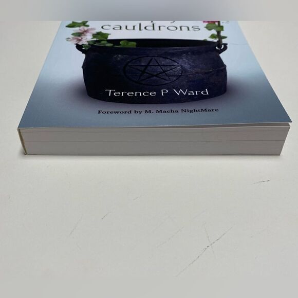 Empty Cauldrons by Terence P. Ward Paperback Book NWOT - Picture 7 of 10